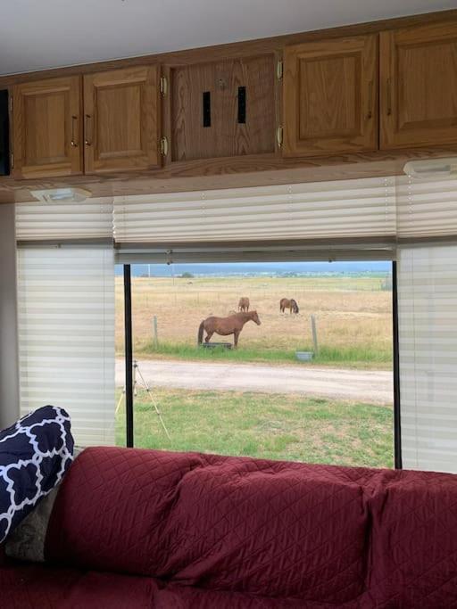 Mission Mountain Camper Apartment Saint Ignatius Bagian luar foto